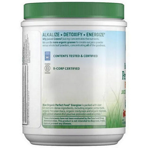 Garden of Life, Raw Organic Perfect Food Energizer, 9.73 Oz Garden of Life